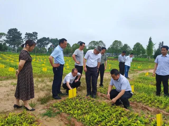 科技特派员在基地进行技术指导.jpg 科技特派员在基地进行技术指导.jpg