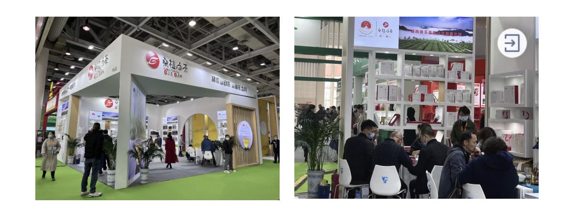 桑植白茶展区、在线买世界杯平台-世界杯(中国)桑植白茶展位.jpg 桑植白茶展区、在线买世界杯平台-世界杯(中国)桑植白茶展位.jpg
