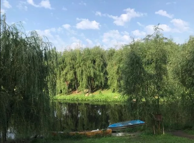 1625538372110937.jpg 640 (14).jpg